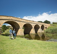 Bonorong Wildlife Park and Richmond Afternoon Tour from Hobart