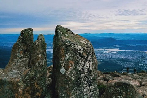 Mt Wellington Tour And MONA Admission - Accommodation Port Macquarie 2