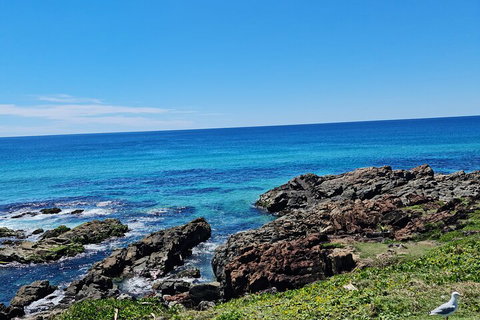 Private Custom Byron Bay Day Out - Accommodation Port Macquarie 4