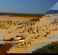 1-Day Pinnacles and Yanchep Tour from Perth including Fish and Chips Lunch - Accommodation Port Macquarie