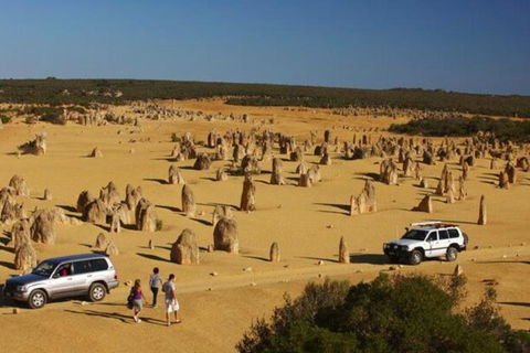 1-Day Pinnacles And Yanchep Tour From Perth Including Fish And Chips Lunch - Accommodation Port Macquarie 0