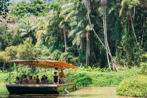 Tropical Fruit World Farm Full Tour - Accommodation Port Macquarie 0
