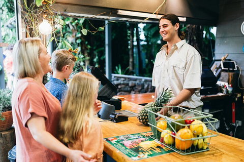 Tropical Fruit World Farm Full Tour - Accommodation Port Macquarie 2