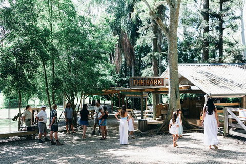 Tropical Fruit World Farm Full Tour - Accommodation Port Macquarie 3
