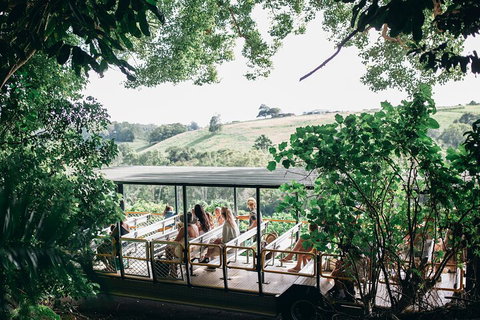 Tropical Fruit World Farm Full Tour - Accommodation Port Macquarie 4