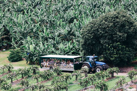 Tropical Fruit World Farm Full Tour - Accommodation Port Macquarie 5