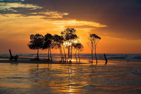Delightful Darwin Self-Guided Audio Tour - Accommodation Port Macquarie 3
