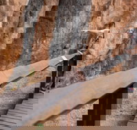 Chillagoe Caves and Outback Day Trip from Cairns - Accommodation Port Macquarie