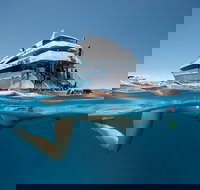 3 Day Great Barrier Reef Daintree Rainforest and Outback Chillagoe Tour - Accommodation Port Macquarie