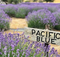 Kangaroo Island Food and Wine Trail Tour - Accommodation Port Macquarie