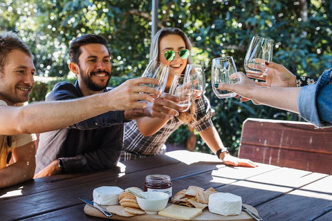 Full-day Wine-Tasting And Tamborine Mountain Tour With Lunch - Accommodation Port Macquarie 0