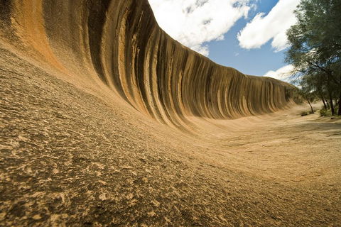 Wave Rock, York, Wildflowers, And Aboriginal Cultural Day Tour From Perth - Accommodation Port Macquarie 0