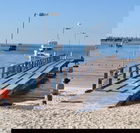 Monkey Mia Dolphins  Shark Bay Air Tour From Perth - Accommodation Port Macquarie