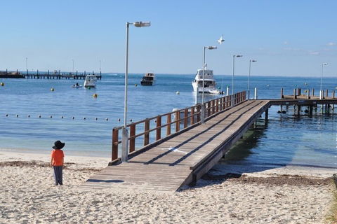 Monkey Mia Dolphins & Shark Bay Air Tour From Perth - Accommodation Port Macquarie 0