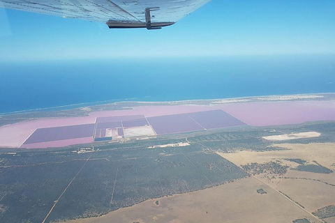 Monkey Mia Dolphins & Shark Bay Air Tour From Perth - Accommodation Port Macquarie 5