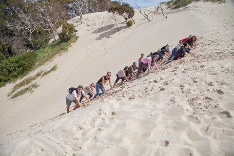 6-Day Tasmanian Explorer Adventure Tour From Hobart - Accommodation Port Macquarie 2