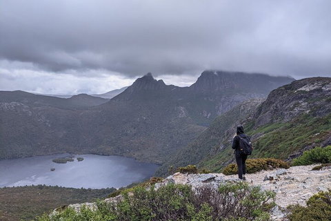 5-Day Best Of Tasmania Tour From Hobart - Accommodation Port Macquarie 3