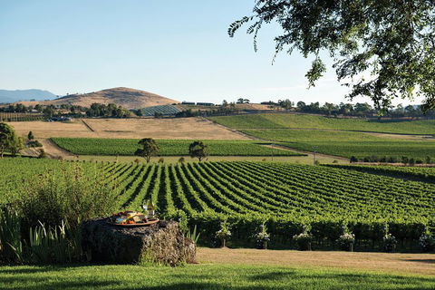 Yarra Valley 2-6 Guests Premium Food And Wine Inc Lunch At Dominique Portet - Accommodation Port Macquarie 2
