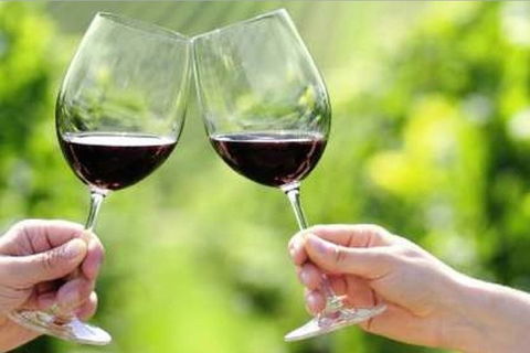 Yarra Valley Premium Tour Inc Lunch And Cheese And Wine Pairing At De Bortoli - Accommodation Port Macquarie 5