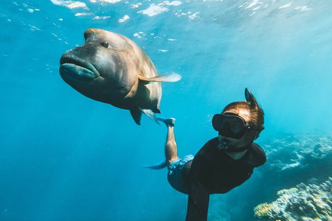 Great Barrier Reef Day Cruise To Reefworld - Accommodation Port Macquarie 3