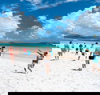 Whitehaven Beach and Hamilton Island Cruise - Accommodation Port Macquarie