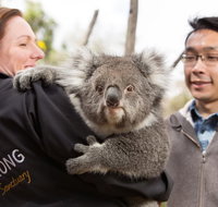 Bonorong Wildlife Park and Richmond Afternoon Tour from Hobart