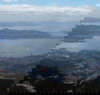 Mt Wellington Tour and MONA Admission - Accommodation Port Macquarie
