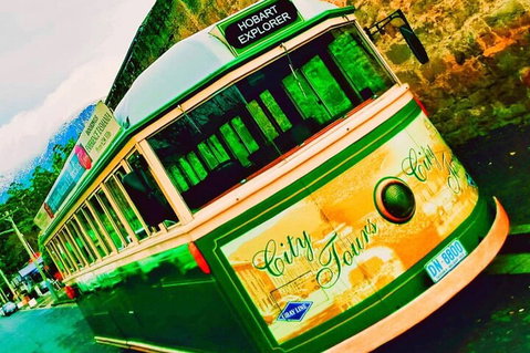 Hobart Half-Day Sightseeing Coach Tram Tour - Accommodation Port Macquarie 5