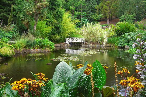 Hobart City Sightseeing Tour Including MONA Admission - Accommodation Port Macquarie 3