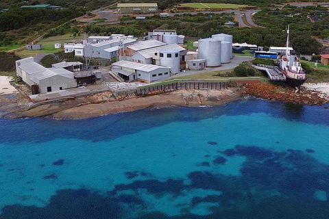 Albany's Whale Story - Accommodation Port Macquarie 4
