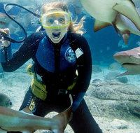 Shark Dive Experience at SEA LIFE Melbourne Aquarium