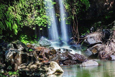 Full Day Small Group Luxury Tour To Tamborine Mountain - Accommodation Port Macquarie 0