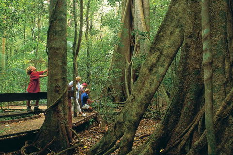 Full Day Small Group Luxury Tour To Tamborine Mountain - Accommodation Port Macquarie 1