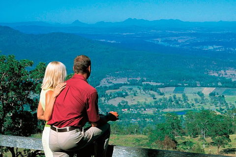 Full Day Small Group Luxury Tour To Tamborine Mountain - Accommodation Port Macquarie 2