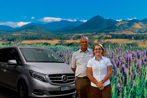 Full Day Small Group Luxury Tour To Tamborine Mountain - Accommodation Port Macquarie 3