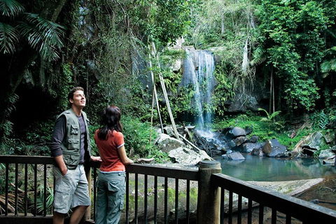 Full Day Small Group Luxury Tour To Tamborine Mountain - Accommodation Port Macquarie 4