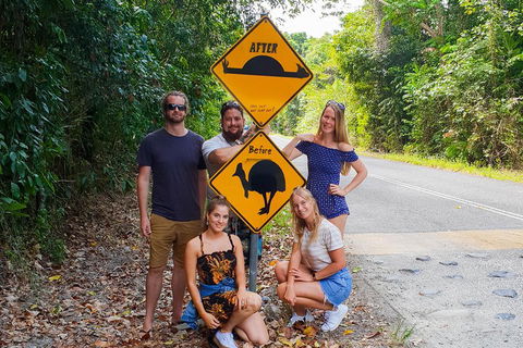 Cape Tribulation, Daintree Rainforest And Wildlife Tour - Accommodation Port Macquarie 0