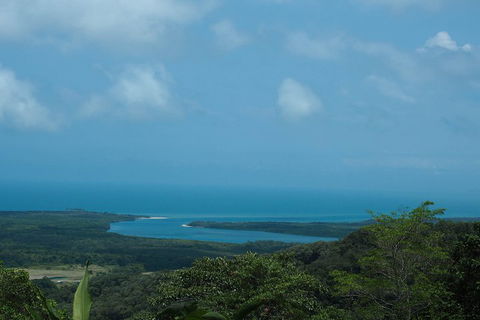 Cape Tribulation, Daintree Rainforest And Wildlife Tour - Accommodation Port Macquarie 1