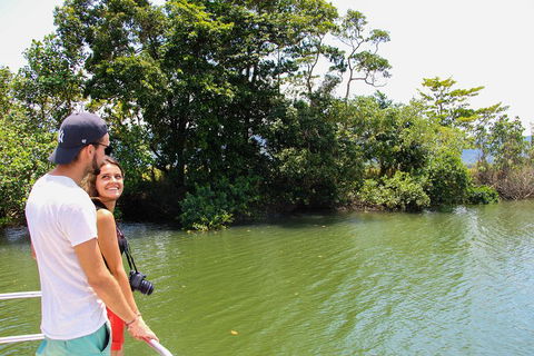 Cape Tribulation, Daintree Rainforest And Wildlife Tour - Accommodation Port Macquarie 2