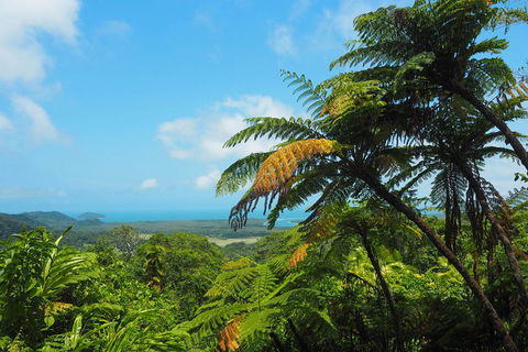 Cape Tribulation, Daintree Rainforest And Wildlife Tour - Accommodation Port Macquarie 3