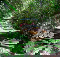 Kuranda Rainforestation  Kuranda Scenic Rail - Accommodation Port Macquarie