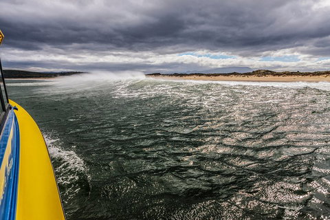 Hobart Sightseeing Cruise Including Iron Pot Lighthouse - Accommodation Port Macquarie 3