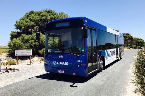 Rottnest Bayseeker Bus Tour From Hillarys Boat Harbour - Accommodation Port Macquarie 0