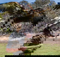 One Day Kangaroo Island Sip  See tour with return ferry transfers from Adelaide - Accommodation Port Macquarie