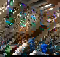 Cairns Shore Excursion Cairns City Sights  Surrounds Tour - Accommodation Port Macquarie