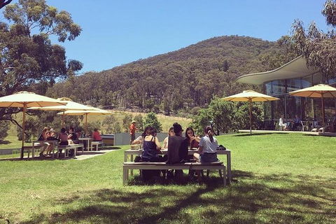 Yarra Valley Wine And Cider Tours By Classic Convertibles From Melbourne - Accommodation Port Macquarie 0