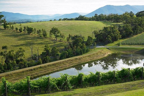 Yarra Valley Wine And Cider Tours By Classic Convertibles From Melbourne - Accommodation Port Macquarie 1