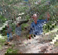 Small-Group Blue Mountains Tour with Bush Walks and Featherdale Wildlife Park - Accommodation Port Macquarie