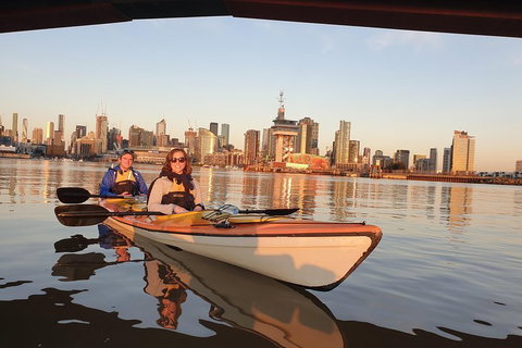 Melbourne Sunset Kayaking Experience With Dinner - Accommodation Port Macquarie 3