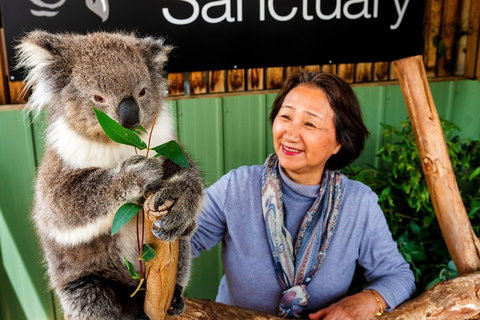 Moonlit Sanctuary Wildlife Conservation Park Daytime General Entry Ticket - Accommodation Port Macquarie 0